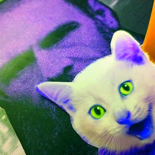 4747115153065902387790593868107453782499677024781155622119189969710706851841