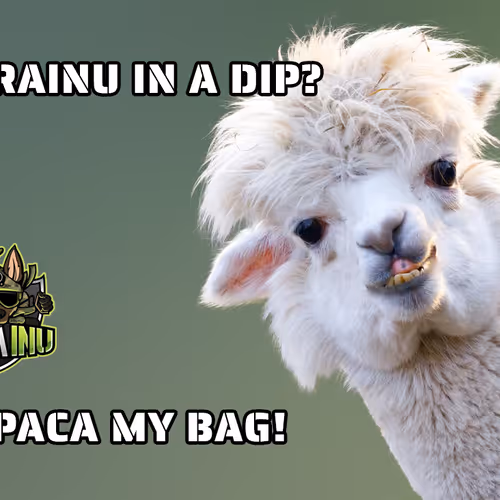 84267802290559942954088594584353939466435851808707392301287009230491731623937