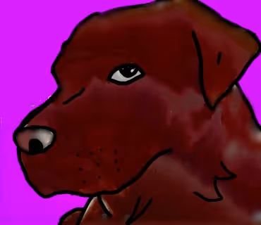 a boy and his friend