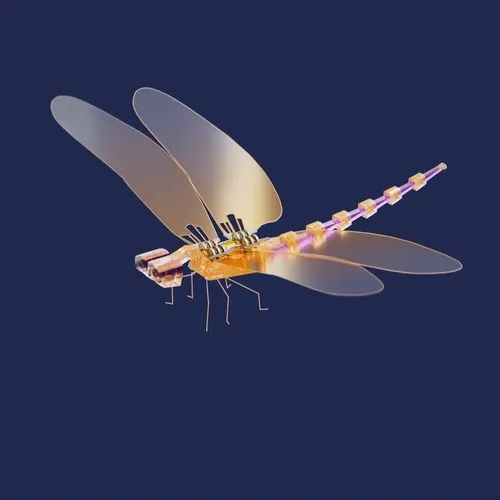 OBTI BOT DF #015