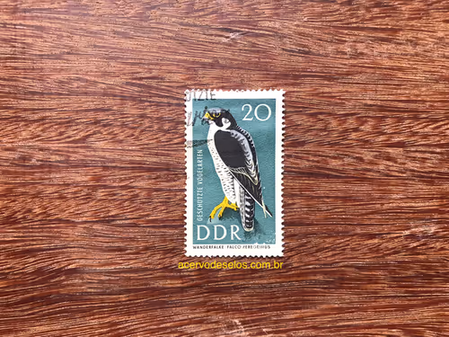 Item #20597586626667959385800891861414849022288511145256085744500515459414924197889 Media