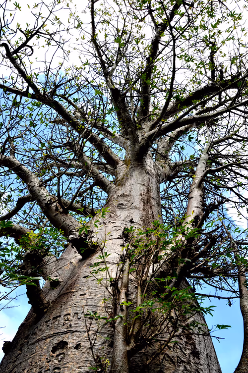 Item #79891436161549541429884862344900251113171213125295126698961100636168103395329 Media