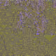 76218576511156035677135457795711881096918809021571819118697863788858234109953