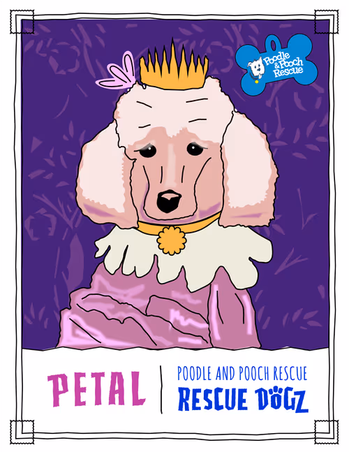 Item #30690731946652718087334591486962028713730520455891869769803774205382207995905 Media