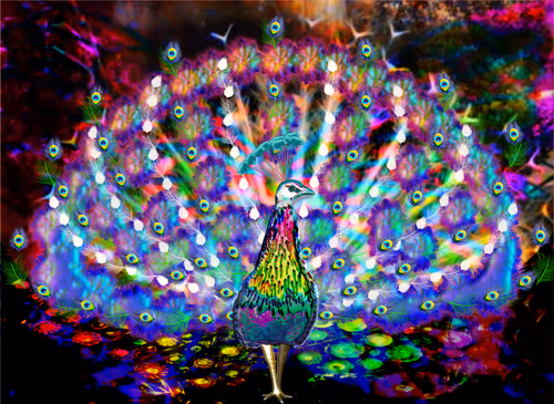 Item #69699127589657871344155095729616108321095768172623320645971986113450253221889 Media