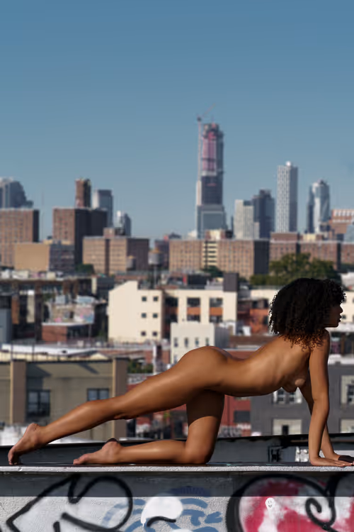 Item #35793955396829663901578411721904094104874693789854085603601917701242587447297 Media