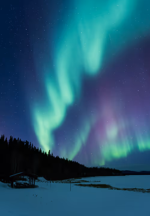 Item #21114313984647103593433237595897787432123742912884964135570648066797118423041 Media