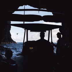 What Lies Ahead
