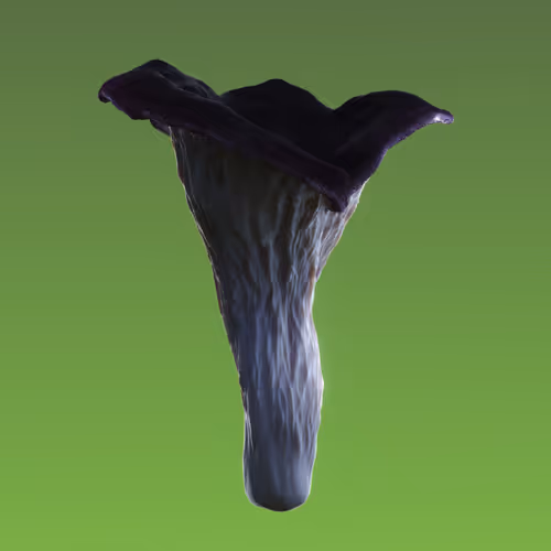 Item #95653877050150474555742155054455970472164202465768371638498214030559695339521 Media