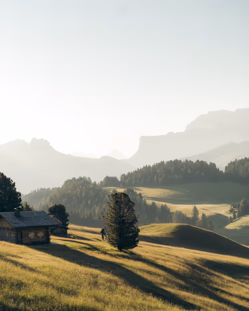 Item #66194589098145771714541131276235575166397887892718389200878874095992910643201 Media