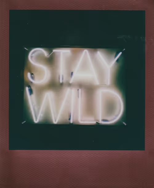 Item #103925043226850068411214111980778021596201122013188060205337914398296854495233 Media