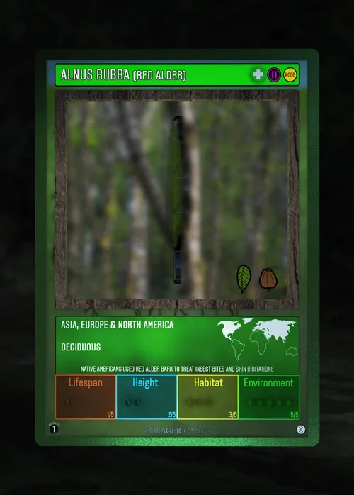 Item #73412372274297784710279054145181842019162569346562246022835392854960705110027 Media