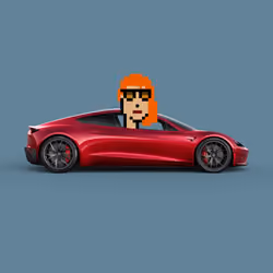 CryptoPunk #5601 in Tesla Roadster