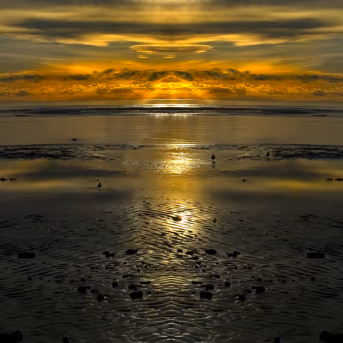 98335621385429695798980580544205857784635028071834314696671891940891858829313