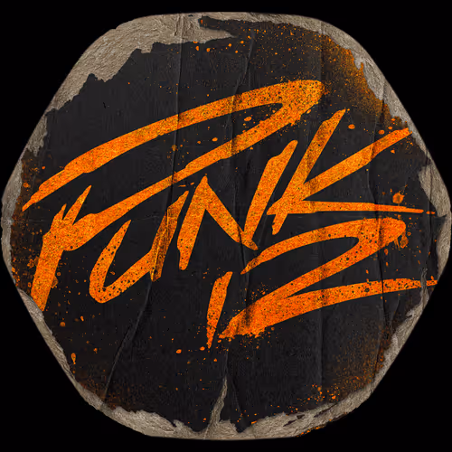 PUNK12 BRANDING