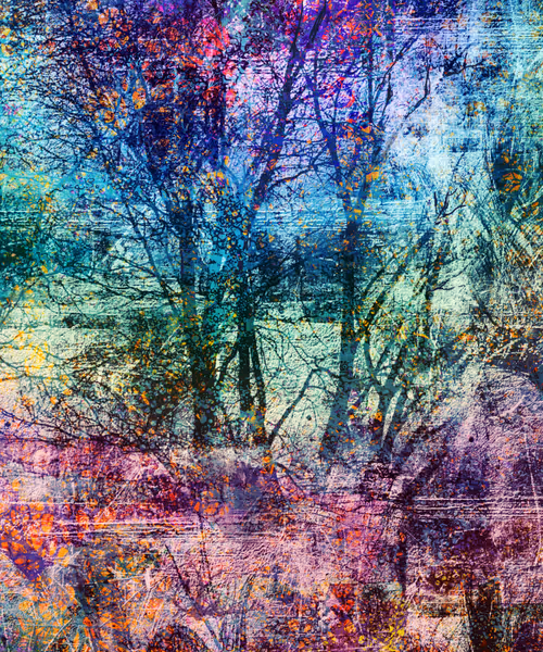 Item #72265668148389909526692948266359502736940339409835531939414465351682657091585 Media