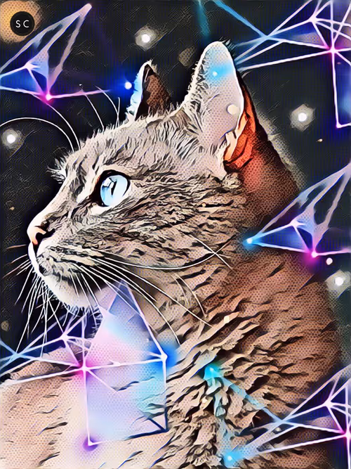 Item #56114814756646127397705002134489221206320113324181291230627375179918739505153 Media