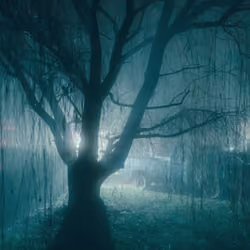Colors In The Fog #5 