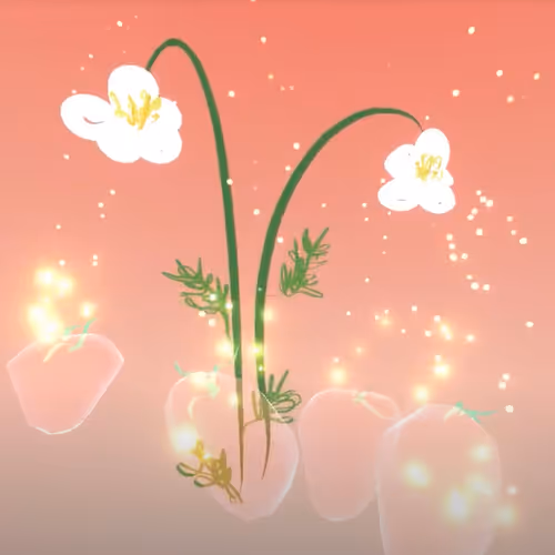 51472236781459235570045969823954325022147772359930512505025861067979635032065