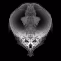 85859191866638808365331437874953228966785819470149775310971061849743436021761