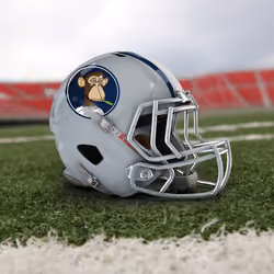 Bored Ape #3714 American Football Helmet