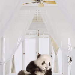 Cute Panda #10