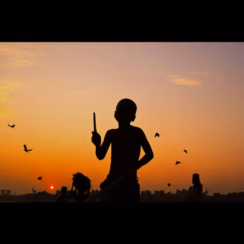 geeky_explorer Collection