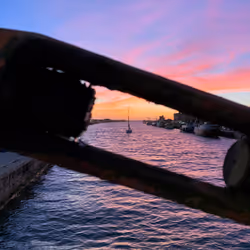 17398505035155886299443567647096985352821174740737303565068841176683868323841