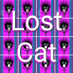 Lost Cat #134