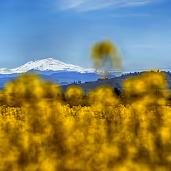 44024487065254451978341284796523308956461514990321328857199441188205763756033