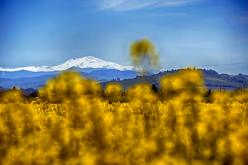 Item #44024487065254451978341284796523308956461514990321328857199441188205763756033 Media