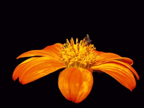 112000724350228495474711911108130364376243231564197861893917054723654942730