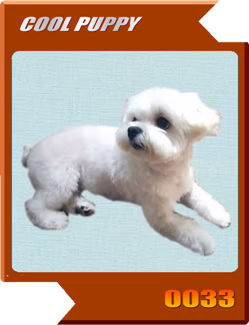 Item #21477548388787063266658748687199700189937005018840532589754440377726203330561 Media