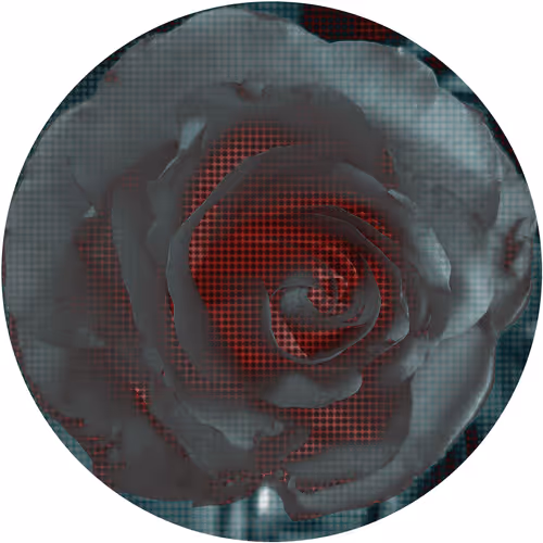 Item #57150199714264965124008739370880617649067410576125716926726195622533706809345 Media