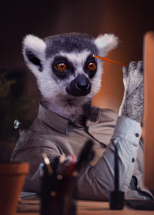 Item #36836811362522670824259516961817306371595381663714079495581083209090673410049 Media