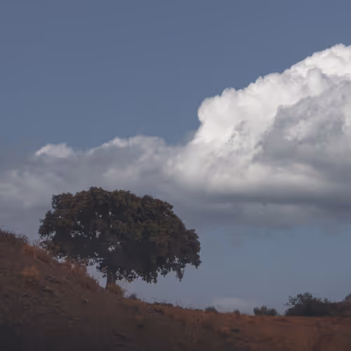 One Place Different Skies