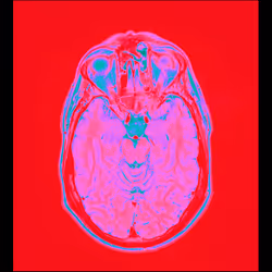 64162533542198579898252916190583583845604629893829087458582976253766878101505