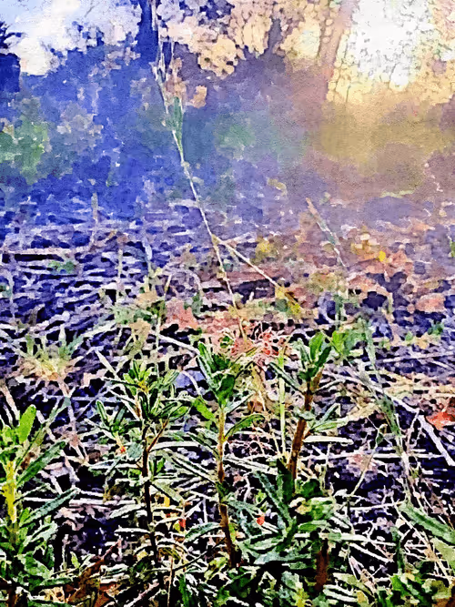 Item #23586274718377853504826207668531862457816485670593798671801516796750065565699 Media