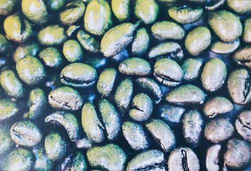 Item #39425846421802280996231740338929997167545085552399292352466571959291367915521 Media