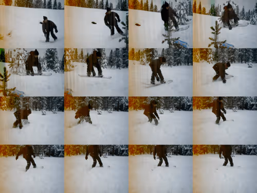 PsychoZodiac Collection