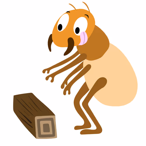 Item #46943798235076459517442167302093719887987331205510626627036720426402805972993 Media