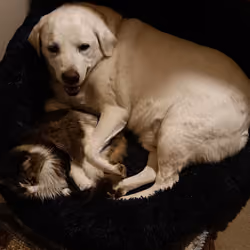 Best Friends ❤️