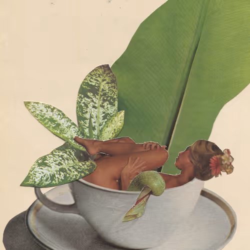 Item #56237005650679827208422272941338028549111287741661461515168449802699681038341 Media