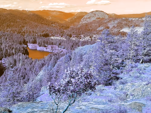 Item #95931297699129074846716735427797376560600754203880057175711201403917800833027 Media