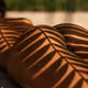 Change Your Stripes