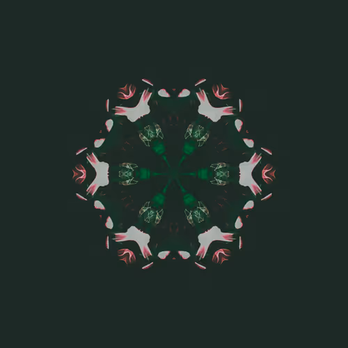 Item #69197074709681920513897941931832316846340161416867484206808756811455979847681 Media