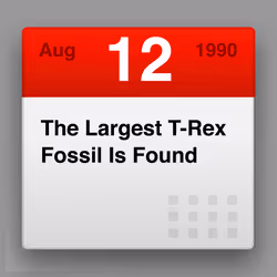 99948237757145417481862033336755659015020359805900001013185297743012419338241