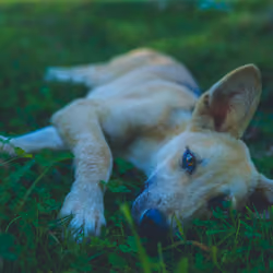 But I'm lazy - Take Me Home #5
