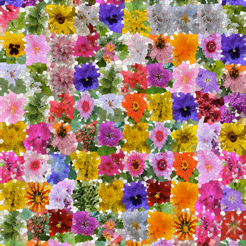 Poisson Bouquet