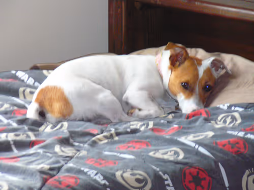 Item #5985210497355107417265215381210579199842884272282595265964883356134865371137 Media